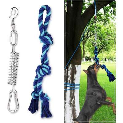 Spring Pole Dog Rope Toy Pet Dog Heavy Duty Pull Tether Tug of War, Hanging Bungee Toy for Outdoor Exercise, for Pitbull Medium